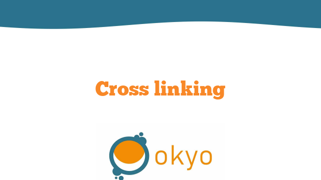 Cross linking personal technique – L. Buratto